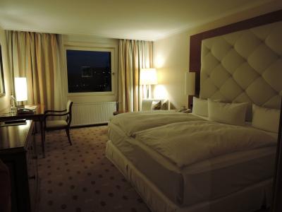 対岸からドレスデンの景色が見えるホテル