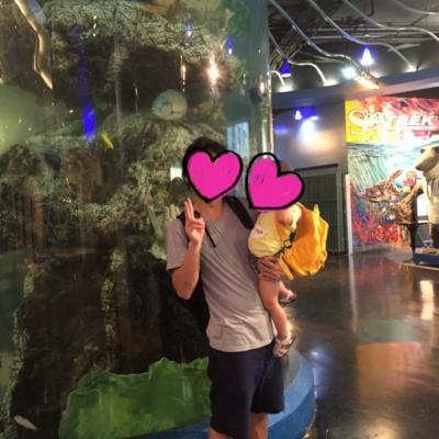 子連れなら1度は行ってみてもいいかも