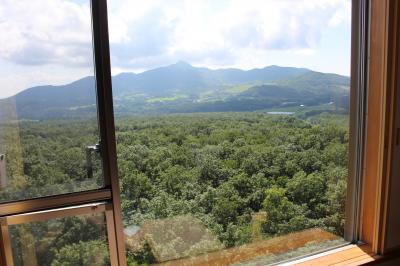 森の中に広がる素晴らしい眺望のリゾート