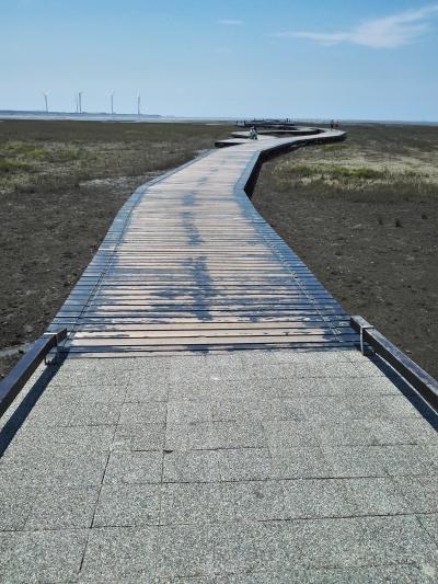 昼間より夕方のほうが良いかも