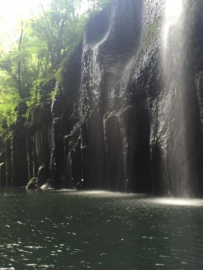 早朝がおすすめ