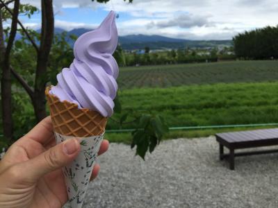 口いっぱい満開のラベンダー！