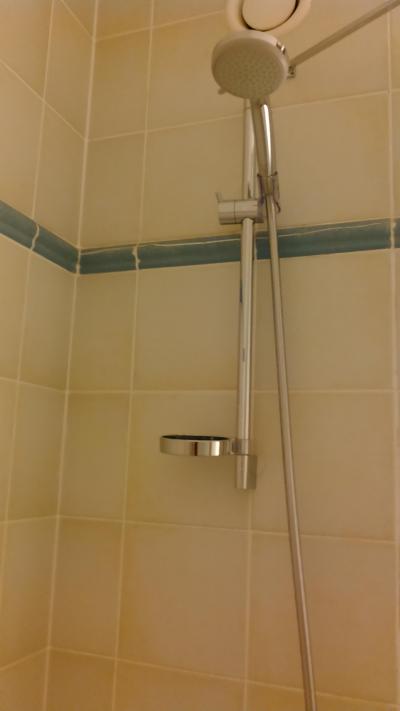 可動式シャワー