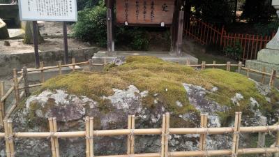 見逃さないように