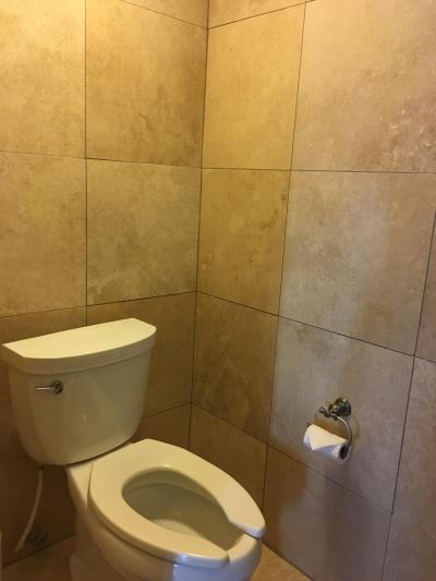 シャワー室と同じ扉の中にトイレがあります。