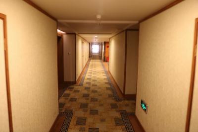 客室の廊下で絨毯がひいてあります
