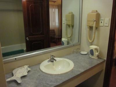 ドライヤーが付いてました！