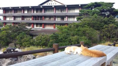 行って良かった！