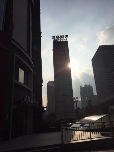 カーペットがびしょ濡れ