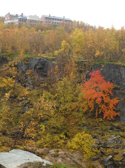 紅葉につつまれるホテル