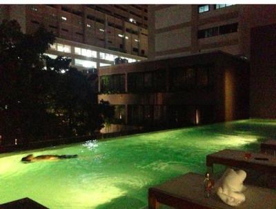 ライトアップされていてお洒落