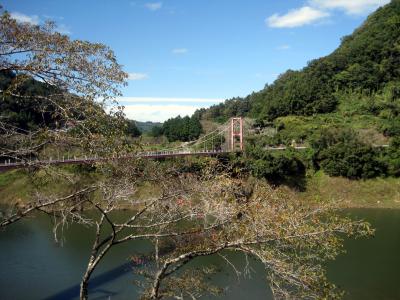 高山ダム湖と化した名張川上流の渓谷で、テラスからの眺めが最高です。