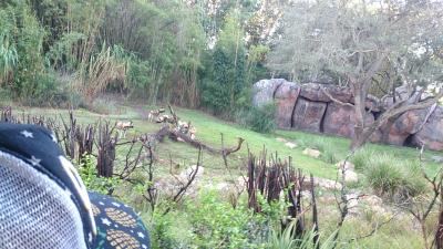 おおむね子供向け