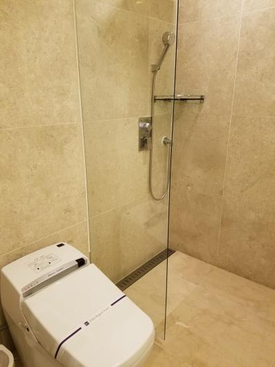 シャワーのみ。トイレとの仕切りが短いのが残念でした。