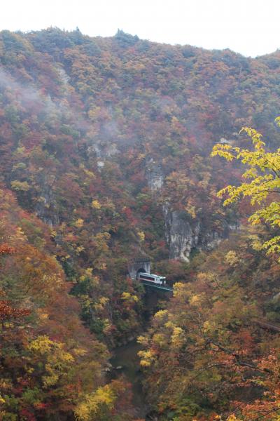 混雑は天気次第？