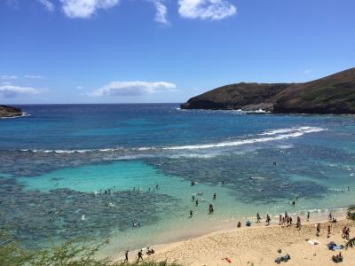 ワイキキの海と違います！