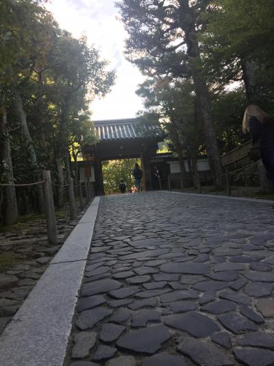 入り口から風情あり！