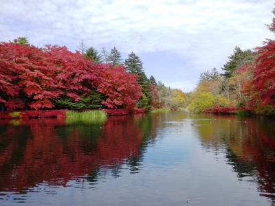 紅葉スポット、かなりの人出でした