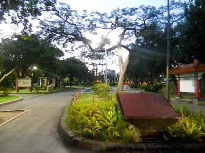 朝の散歩がてらちょうどよかったです。