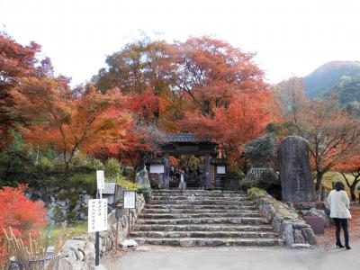 紅葉がきれいでした