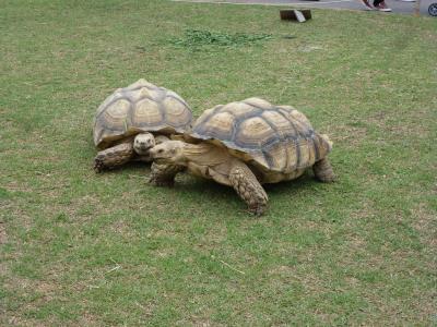 楽しい訪問スポットです。