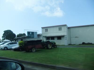 気持ちのいい農園でした