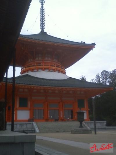 凄いです”根本大塔”