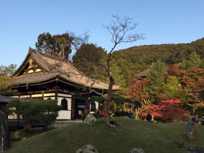 よく整備された美しいお寺でした