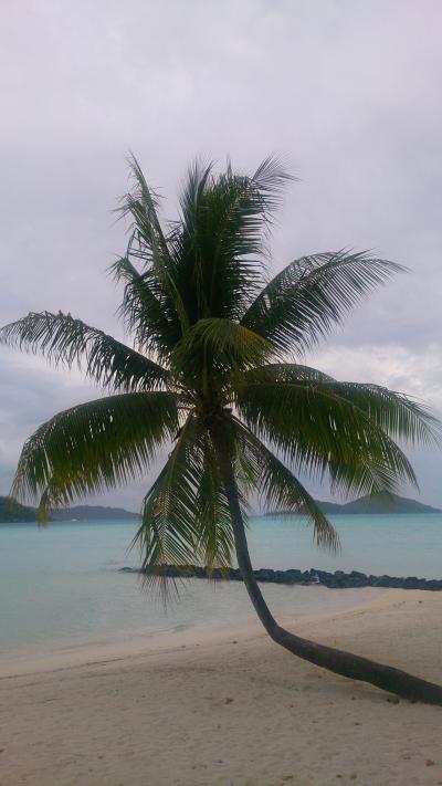 オーシャンビュー