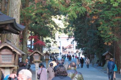 遠州の小京都の定番スポット。新東名から便利になったけど、渋滞には要注意。