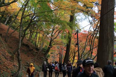 香嵐渓 もみじのトンネル 