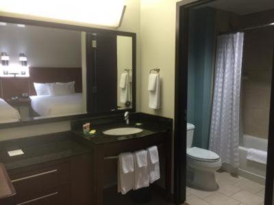 シャワーのみでバスタブはありません