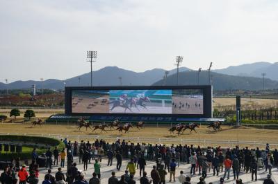 プサンで競馬？