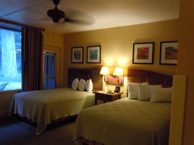 客室も十分な広さです