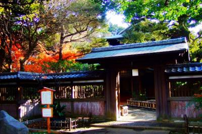 旧前田侯爵家本邸 洋館・和館が残る 駒場公園