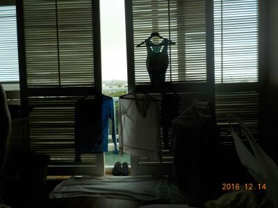 カーテンはなく格子。朝まぶしかったー！マウンテンビューです。