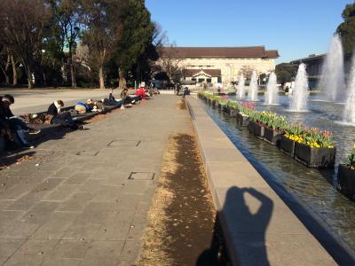 ポカポカ陽気の大きい公園