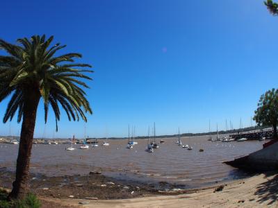 目の前には、ラプラタ川が広がります（汚いけど...笑）