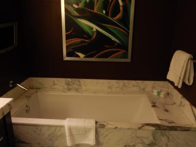 深いバスタブ（小さなテレビも付いてます）