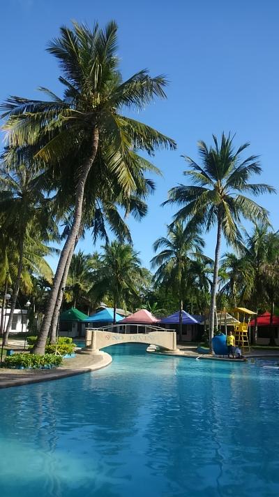 プールは良かったが…