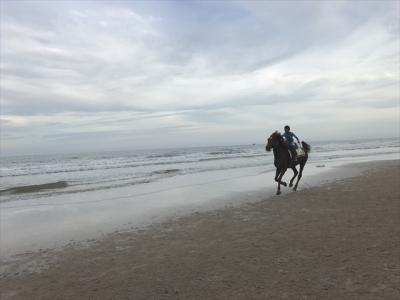 ビーチは乗馬が・・・！？