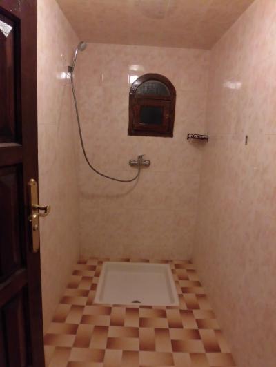 シャワーだけ。ドライヤーはありません