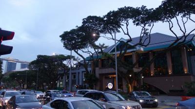 ベイサンズが見えます