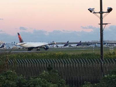 迫力がありました