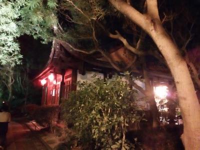 夜の福州園