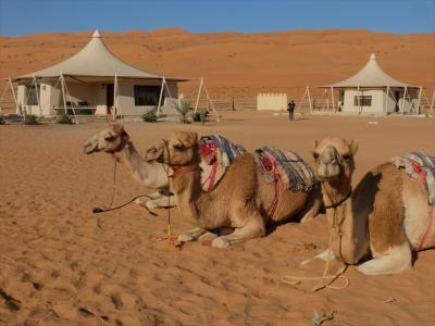 ...ホテル敷地内での駱駝の試乗は無料なのがうれしい！