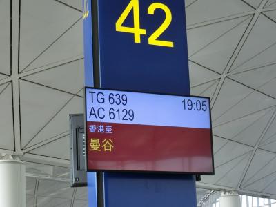 ANA特典航空券でタイ ミャンマー旅行で利用しました。