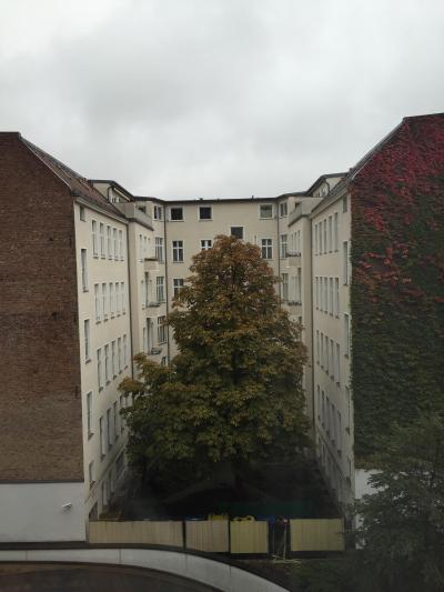 ベッドが最高に気持ちよかったです