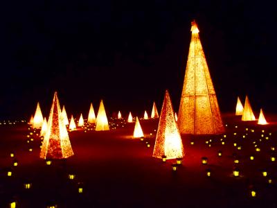 これからが楽しみ。