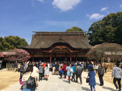 海外観光客に人気